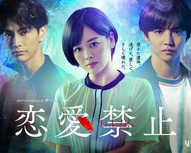 恋爱禁止