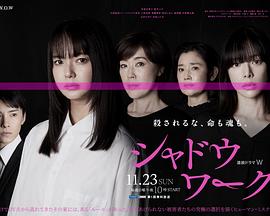 影子工作(臻彩)